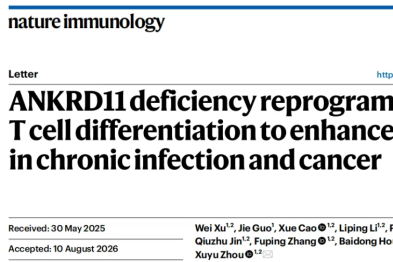 【期刊导读】Nature Immunology 重磅发布：周旭宇教授/李明慧教授团队揭示 Ankrd11 是 CD8+ T 细胞耗竭的关键调