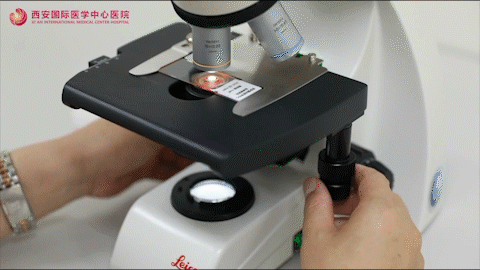 师者如光,照亮奔涌的生命之河——血液病院团队风貌纪实