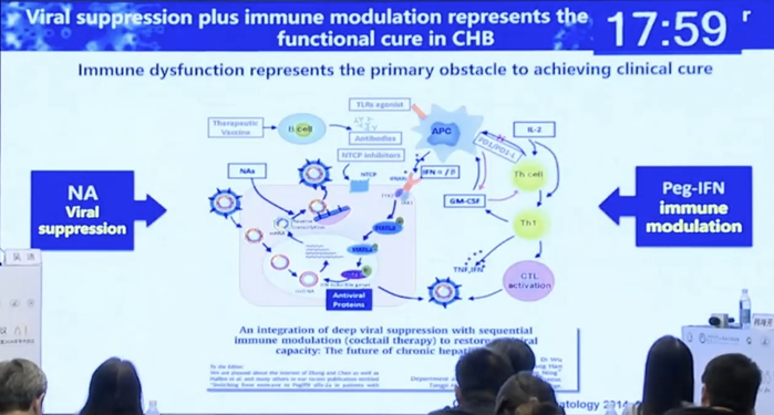 【会议撷萃】吴迪教授:基于生物标志物指导的慢乙肝临床治愈策略