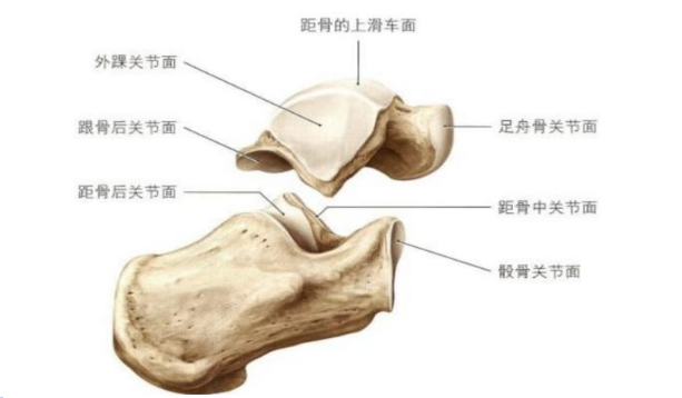 精准重建,为生命重新「立足」——徐州仁慈医院成功完成一例计算机导航 3D 打印数字化全距骨假体置换术