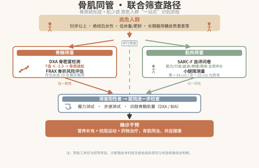循上鹏瑞利医院开展 2026 世界骨质疏松日科普：骨肌同管，共促健康