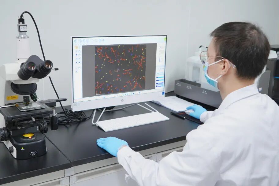 世界男性健康日|看懂男科实验室检查,科学守护男性生育与生殖健康
