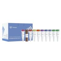 VAHTS Universal V10 RNA-seq Library Prep Kit for MGI(NRM606)