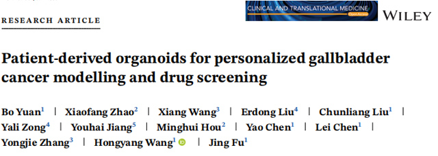 IF=11.492丨CTM：用于个性化建模和药物筛查的胆囊癌患者来源类器官