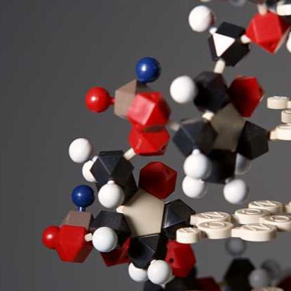 Alexa Fluor® 488 抗人 CD206 (MMR) 抗体