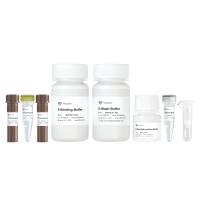 EpiArt DNA Methylation Bisulfite Kit V2(EM102)