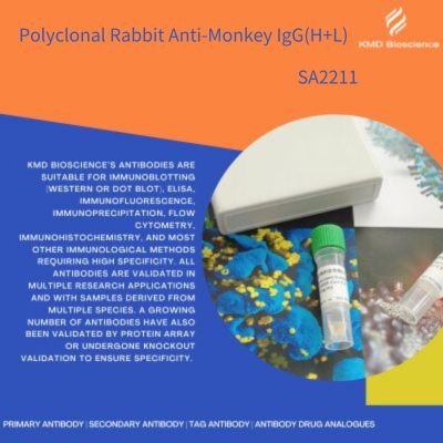 兔抗猴IgG(H+L)（Polyclonal Rabbit Anti-Monkey IgG(H+L)）