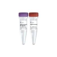 VAHTS Maxi Unique Dual Barcode Primers Set 1 - Set 4 for MGI(NM344)