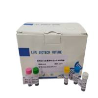 牛病毒性腹泻病毒RT-PCR试剂盒