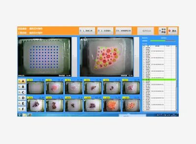 全自动组织芯片仪Auto 12A