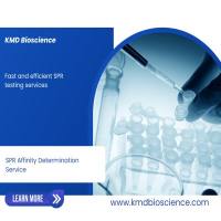 SPR亲和力测定服务