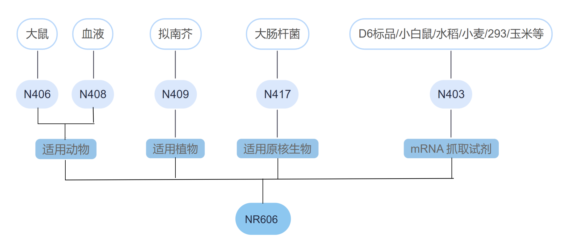 Vazyme第六代RNA建库试剂，为你带来全新建库体验！