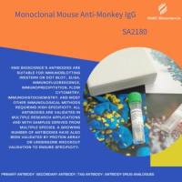 小鼠抗猴IgG(Monoclonal Mouse Anti-Monkey IgG)