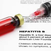 抗人 CD172a (SIRPα) 荧光标记APC 抗体