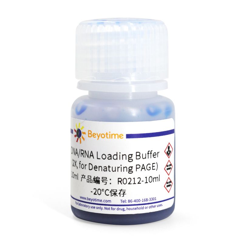 DNA/RNA Loading Buffer (2X, for Denaturing PAGE)
