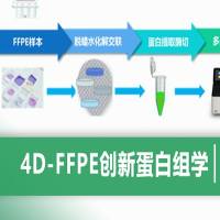 4D-FFPE创新蛋白组学