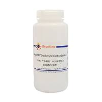 BeyoHyb™ Quick Hybridization Solution