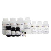 Biotin Northern Blot Kit (for Small RNA)