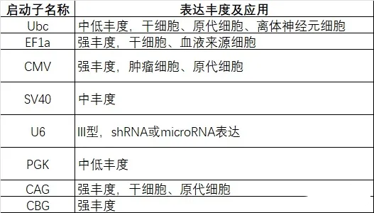 质粒元件拆解(二)——启动子解读