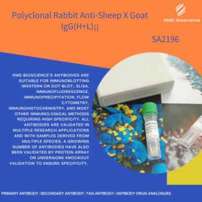 兔抗绵羊X山羊IgG(H+L)（Polyclonal Rabbit Anti-Sheep X Goat IgG(H+L)　）