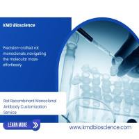大鼠重组单抗定制服务