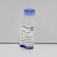 中杉金桥 ZB-5301 辣根酶标记山羊抗兔IgG(H+L)(亲和纯化)(与人、小鼠和大鼠血清蛋白最小交叉反应)