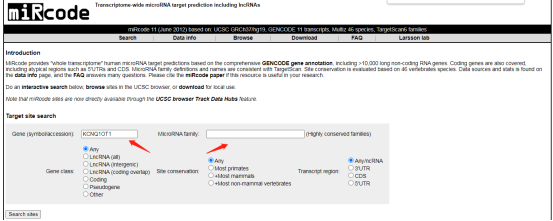 miRNA 研究工具篇