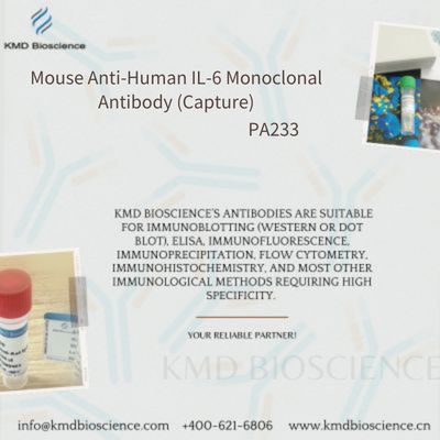 Mouse Anti-Human IL-6 Monoclonal Antibody (Capture)