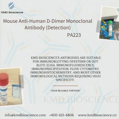 Mouse Anti-Human D-Dimer Monoclonal Antibody (Detection)