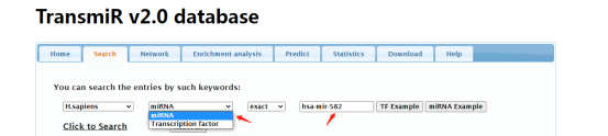 miRNA 研究工具篇