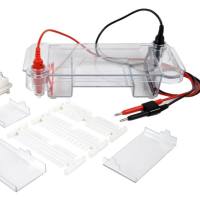 SC12型水平电泳槽