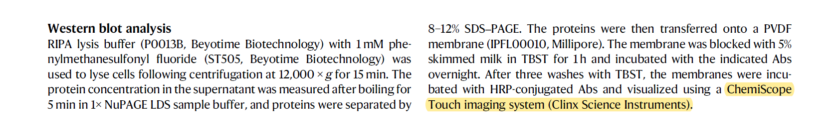 化学发光成像系统在胰腺癌免疫抑制调控机制研究中的应用