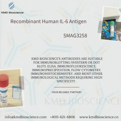 Recombinant Human IL-6 Antigen