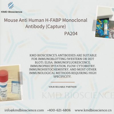 Mouse Anti Human H-FABP Monoclonal Antibody (Capture)