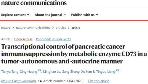化学发光成像系统在胰腺癌免疫抑制调控机制研究中的应用