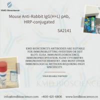 Mouse Anti-Rabbit IgG(H+L) pAb, HRP-conjugated