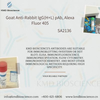 Goat Anti-Rabbit IgG(H+L) pAb, Alexa Fluor 405