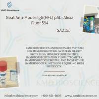 Goat Anti-Mouse IgG(H+L) pAb, Alexa Fluor 594