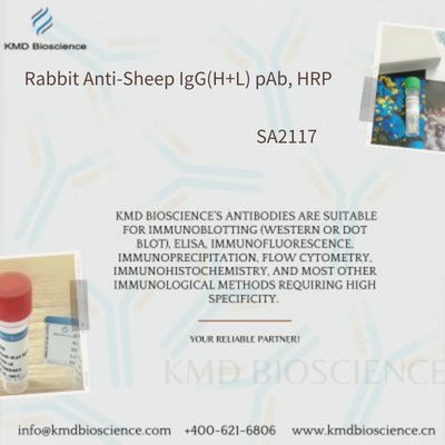 Rabbit Anti-Sheep IgG(H+L) pAb, HRP