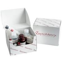 ZeptoMetrix寨卡（MR-766），10条/管  Zika  (MR-766) Strips (10/tube)  Zika  (MR-766) Strips (10/tube)