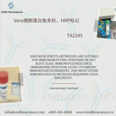 Vero细胞蛋白兔多抗，HRP标记