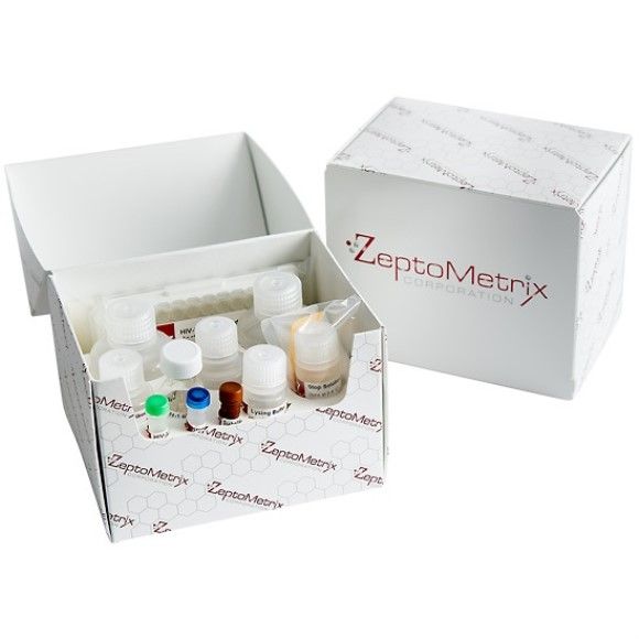 ZeptoMetrix HIV-1 p24扩展范围试剂盒(5 x 96次测定)/HIV Type 1 p24 Extended Range Kit (5 x 96 Determinations)