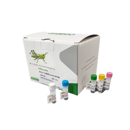 大森林埃博拉病毒染料法荧光定量RT-PCR试剂盒