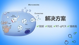 外泌体顶刊综述 | Science：外泌体的生物学、功能和生物医学应用