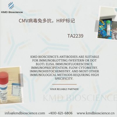 CMV病毒兔多抗，HRP标记