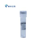 TSnanofect V2 transfection Reagent TSnanofect V2 转染试剂/细胞系列/擎科生物TSINGKE