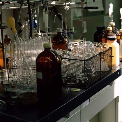 Purified 抗人 Ikaros 抗体