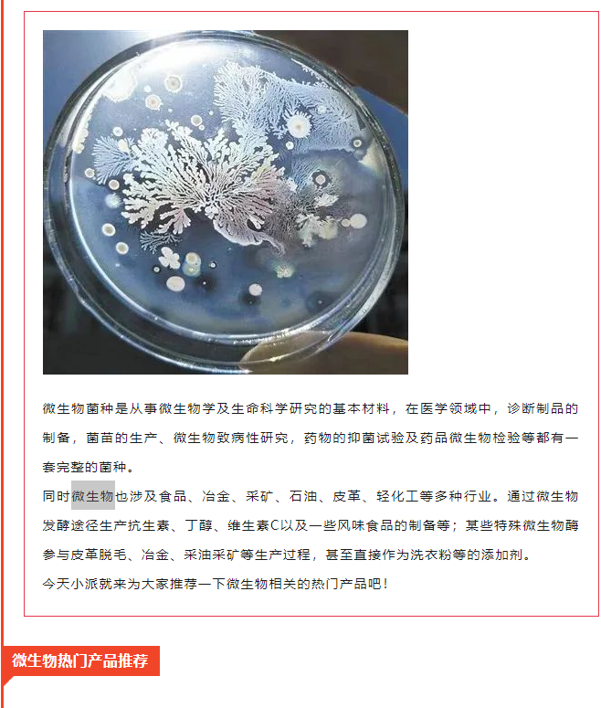 国内微生物超热门产品推荐来啦