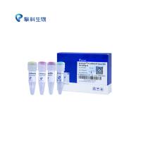 SynScript® Ⅲ miRNA RT SuperMix(by tailing A) 第一链cDNA合成试剂盒（加尾法）/反转录系列/擎科生物TSINGKE