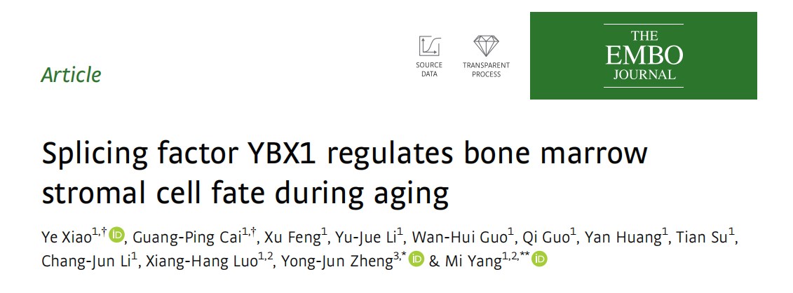 骨质疏松怎么办？找准靶点很关键！